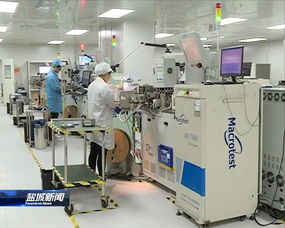 緊扣一體化，推動高質(zhì)量 晶科微電子的全方位深層次接軌上海之路