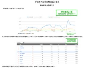 網站建設與維護 構建數字門面并保障其長效運營